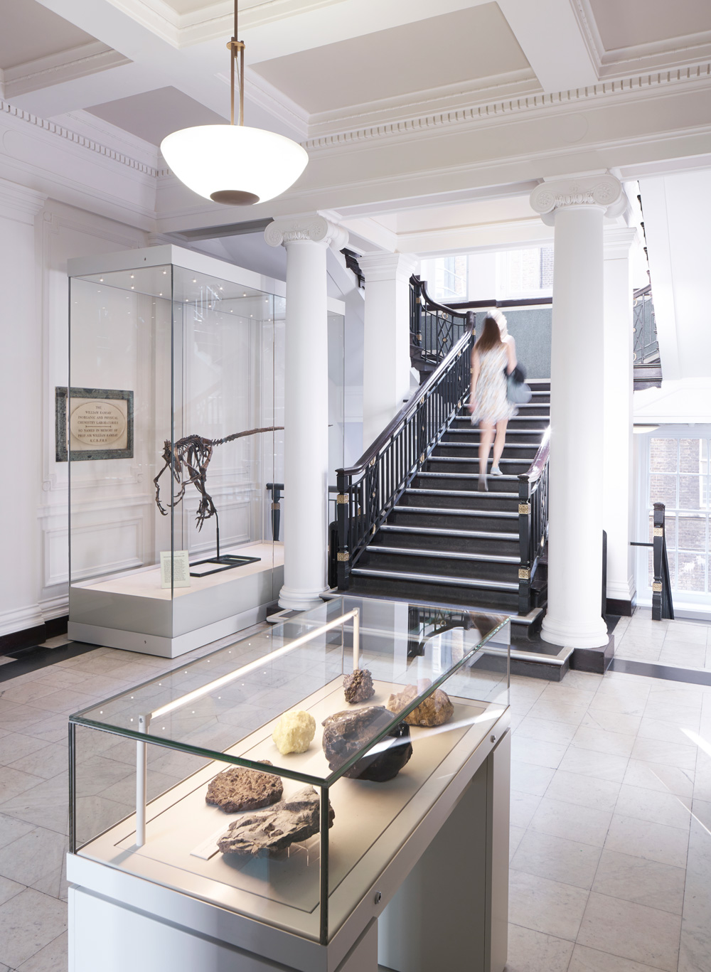 丨Levitt Bernstein-34