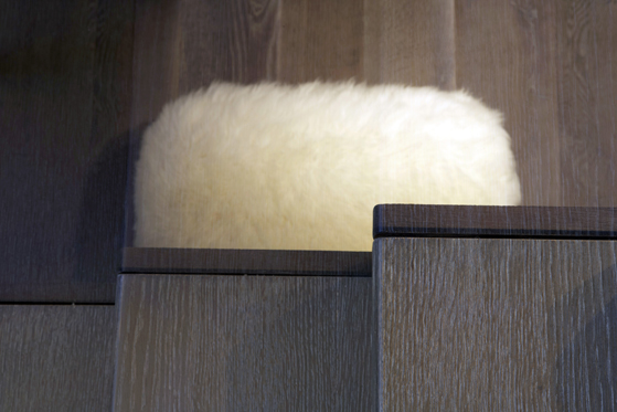 多洛米提 2 号住宅 | 极简与自然的和谐交融-23