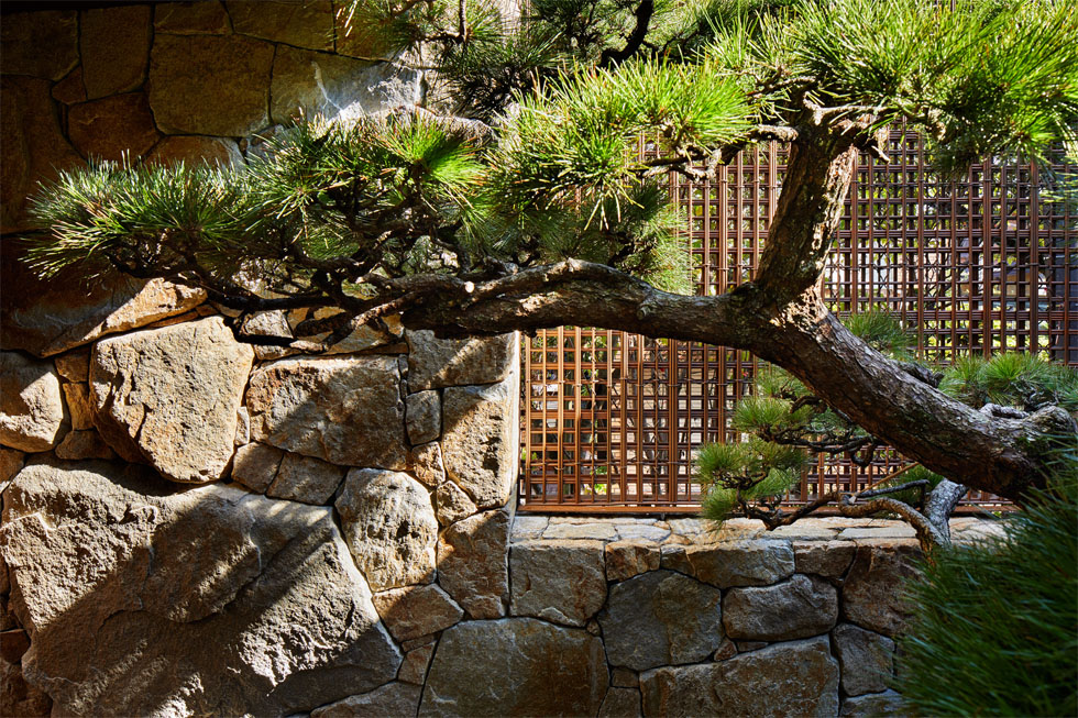 上野东照宫聚所丨日本东京丨Hiroshi Nakamura &NAP 建筑事务所-61