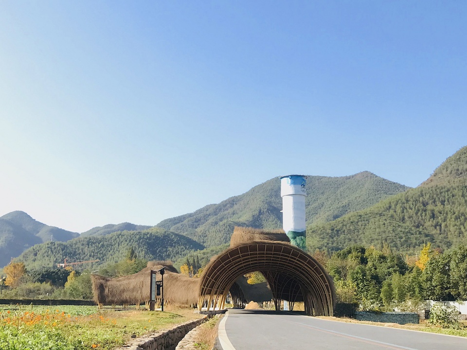 花海竹廊丨北京林业大学-17