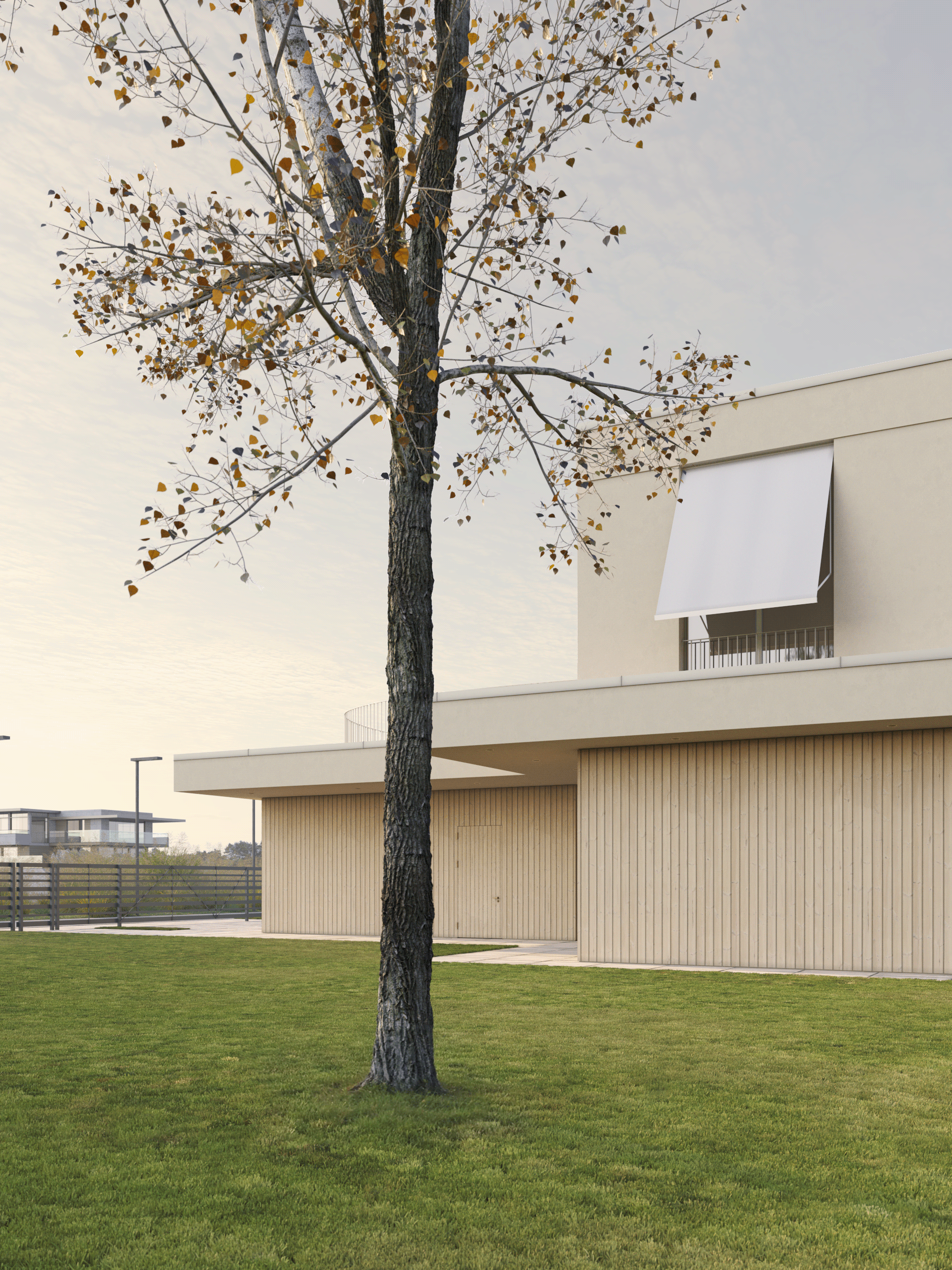 酸橙与木材屋（注：Lime常见有酸橙；石灰等意思，此处结合语境难以绝对判断只有酸橙合适，但按单一准确翻译要求，先取此翻译，若有更多背景信息可进一步调整）丨拉脱维亚丨GAISS-10