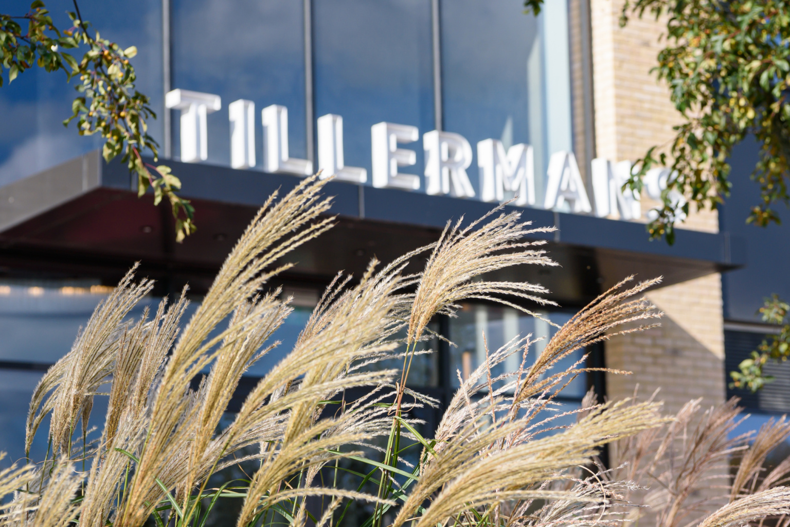 丨United KingdomLondon-145