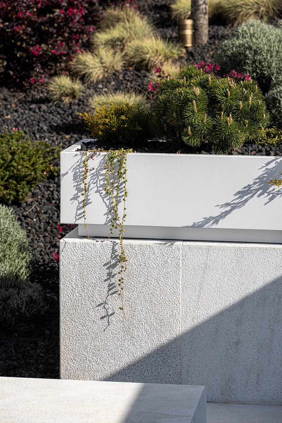 RiscoWhite 住宅丨葡萄牙丨Risco Singular-115