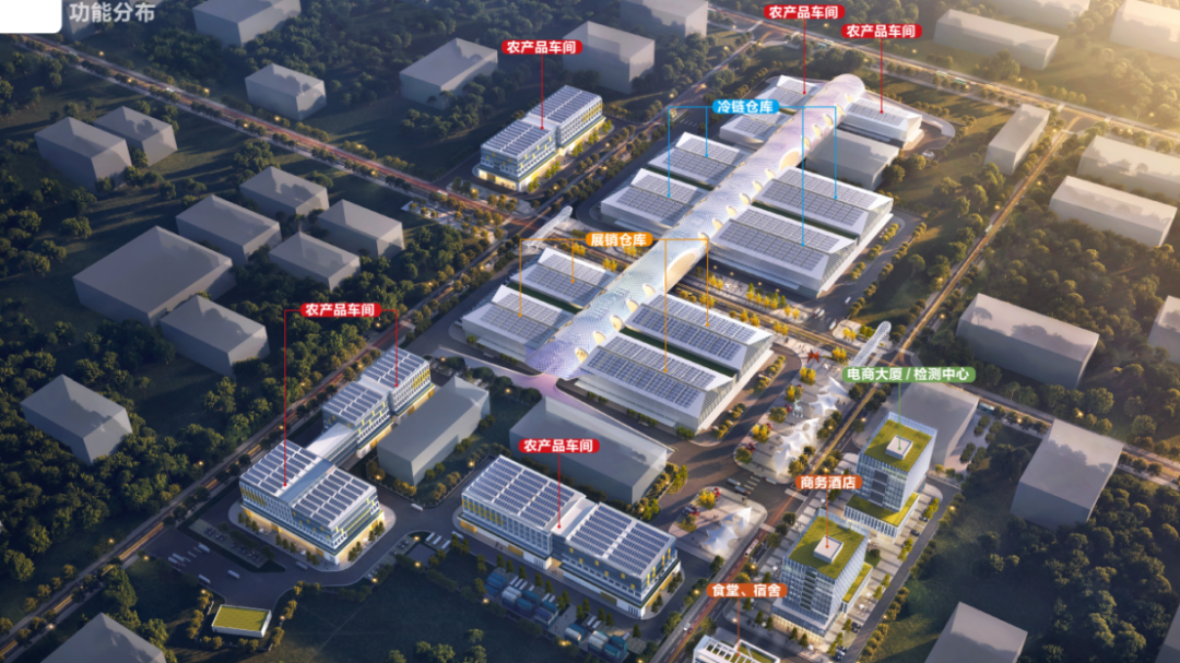 亚泰赋能阳春农业产业链升级：阳春冷链物流园筑就大湾区农产品流通新枢纽~-52