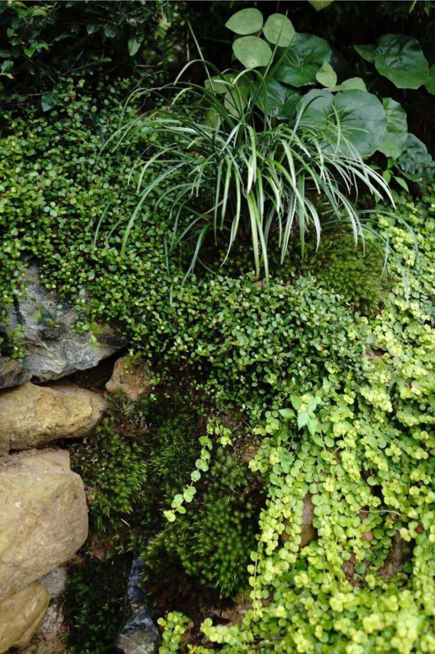 野界度假酒店丨中国湖州丨墨璞建筑设计(上海)有限公司-29