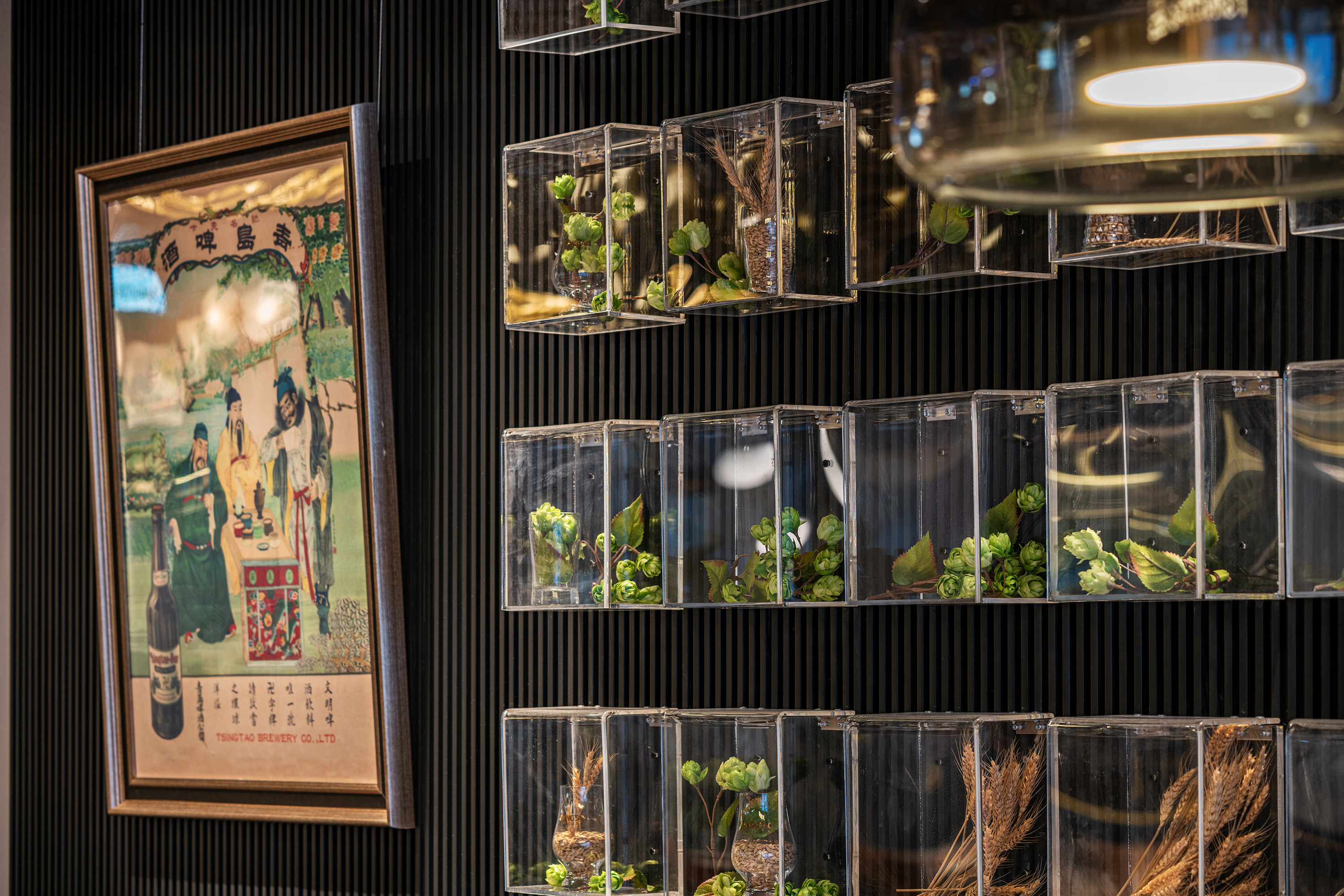 TSINGTAO1903 青岛旗舰店丨中国青岛丨Refine Design 锐梵设计-27