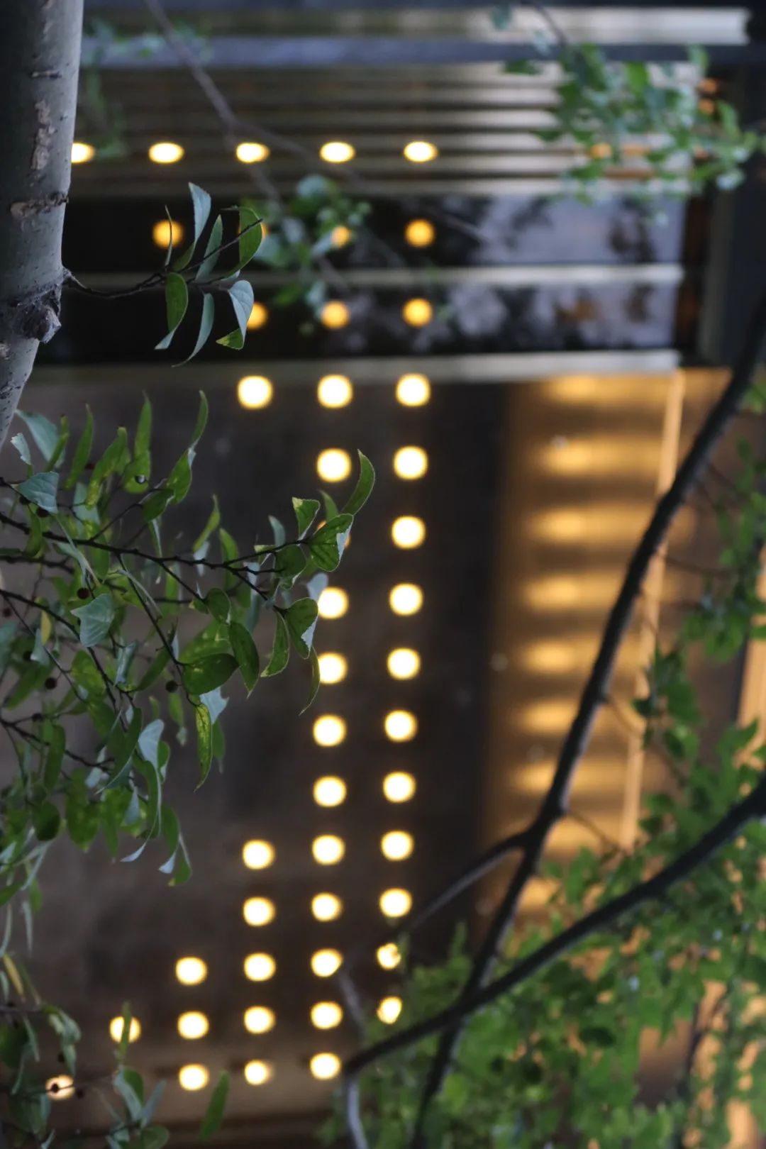 阳光城·义乌檀境丨中国金华丨LAURENT 罗朗景观-41