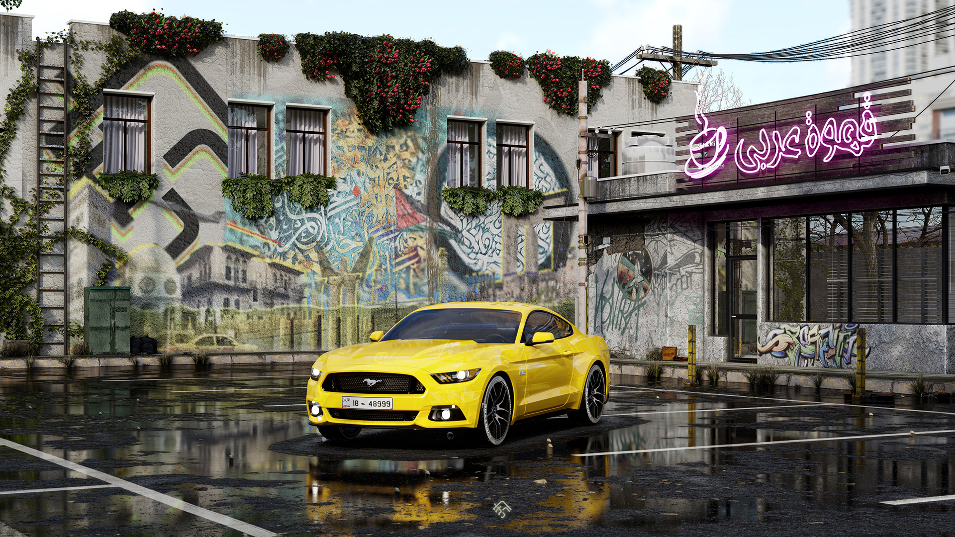 Graffiti in the backyard ..-0