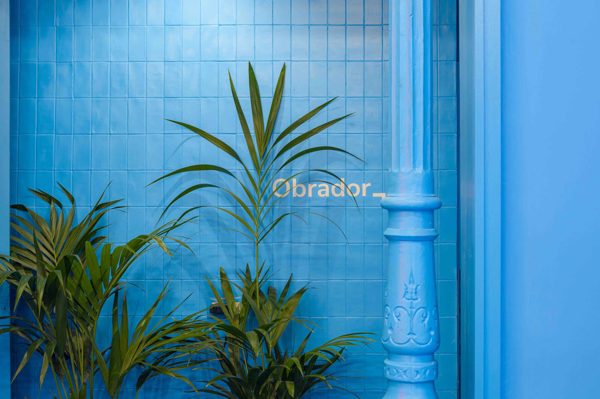 布兰多冰淇淋店丨西班牙马德里丨Marta Jarabo,SOLAR-24