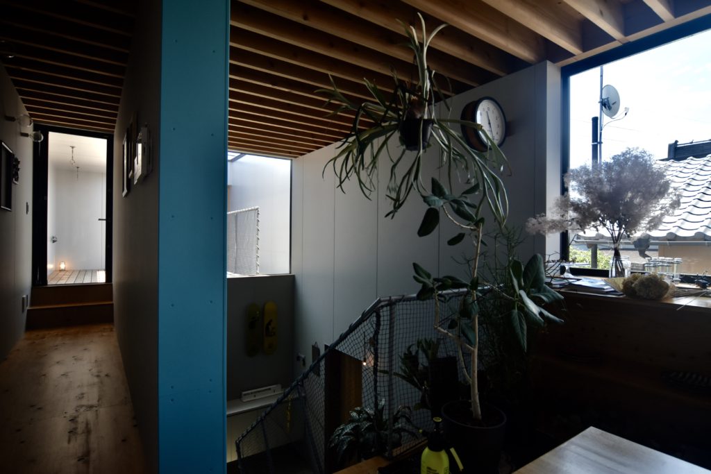 丨日本宫崎丨有限会社COGITE-19