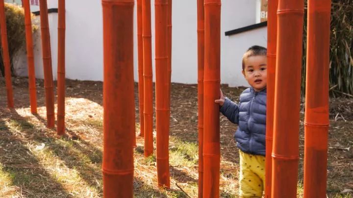 沈阳建筑大学“生长中的熊猫舞台” | 竹构与场地的共生设计-41