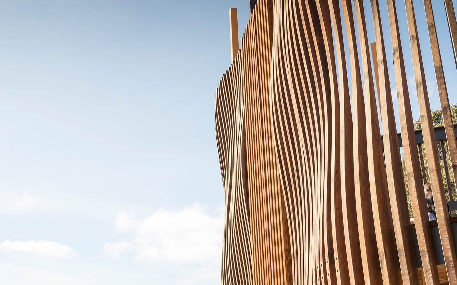 MDGLA · Armstrong相关景观项目丨MDG Landscape Architects-2