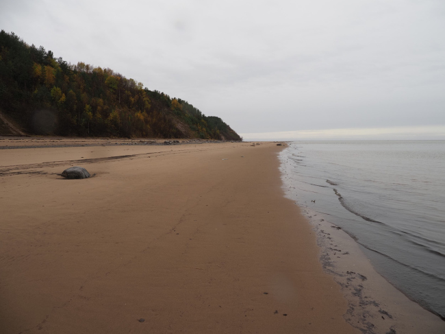 “Русский Север”（“俄罗斯北方”）项目丨俄罗斯阿尔汉格尔斯克丨圣彼得堡国立建筑艺术大学,乌拉尔国立农业大学等-5