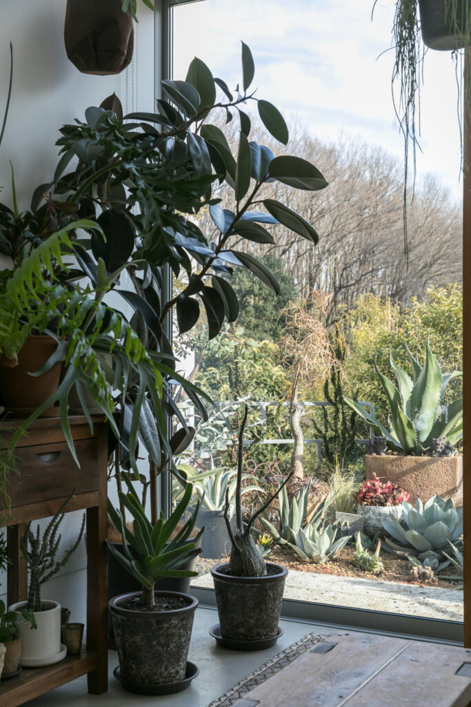 高台から緑豊かな公園を望む　緑の専門家夫妻が建てた 星型の実験住宅 | Green | 100%LiFE-2