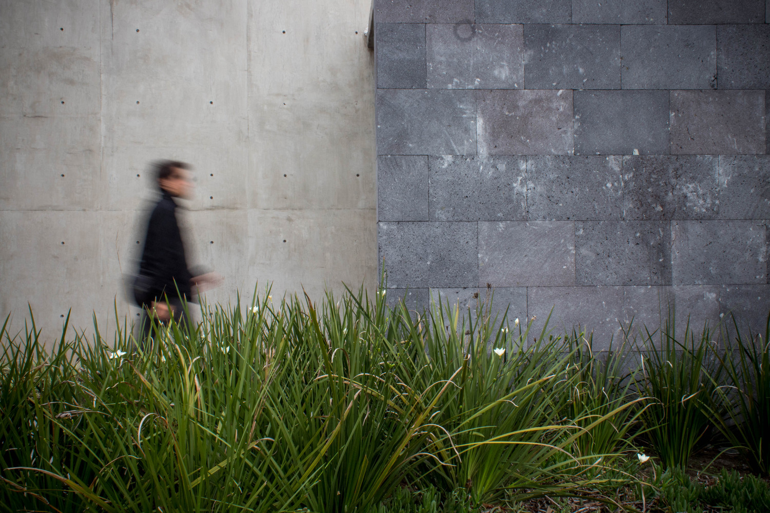 墨西哥蒙特雷绿色宜居 Etherea 大楼-33