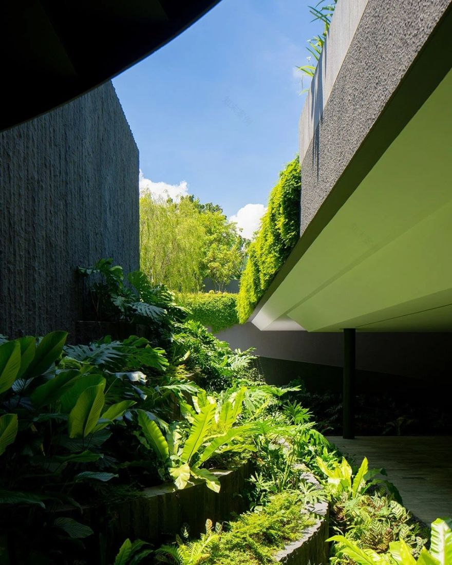Serendipity 住宅丨新加坡丨Wallflower Architecture Design-25