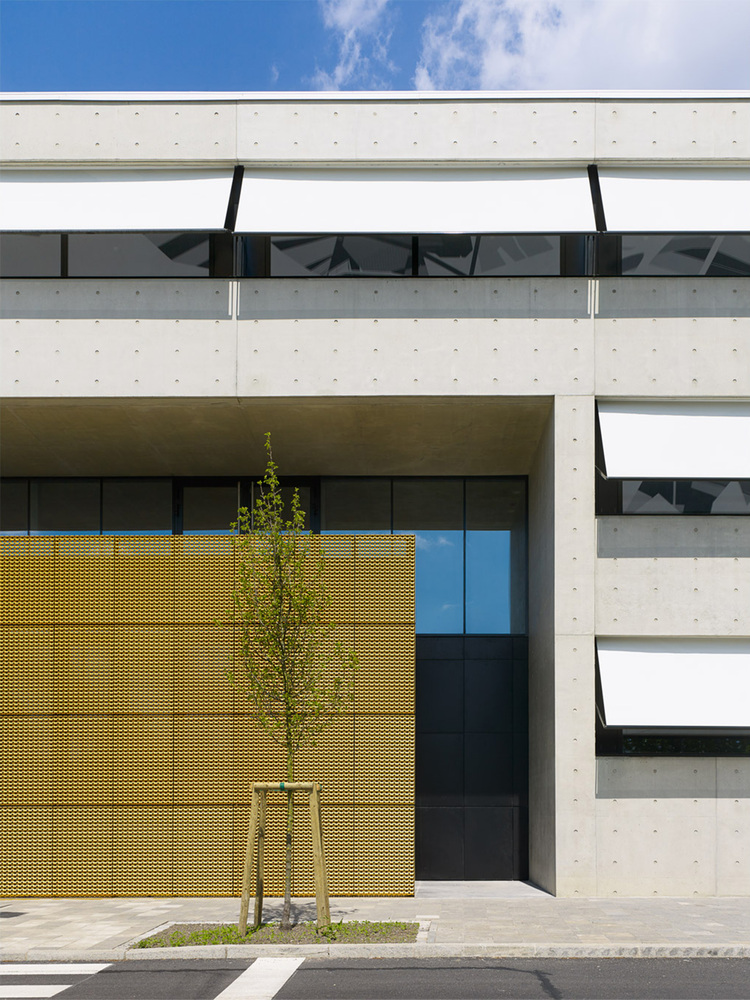 Luxembourg 办公大楼,工业风与混凝土美学完美结合-23