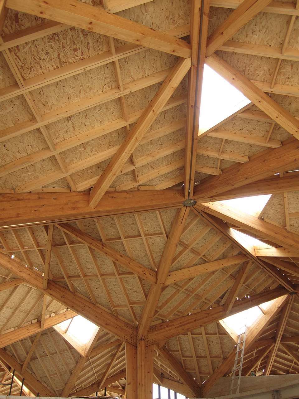 林建筑－与自然树木的共舞 / 迹·建筑事务所（华黎）-158