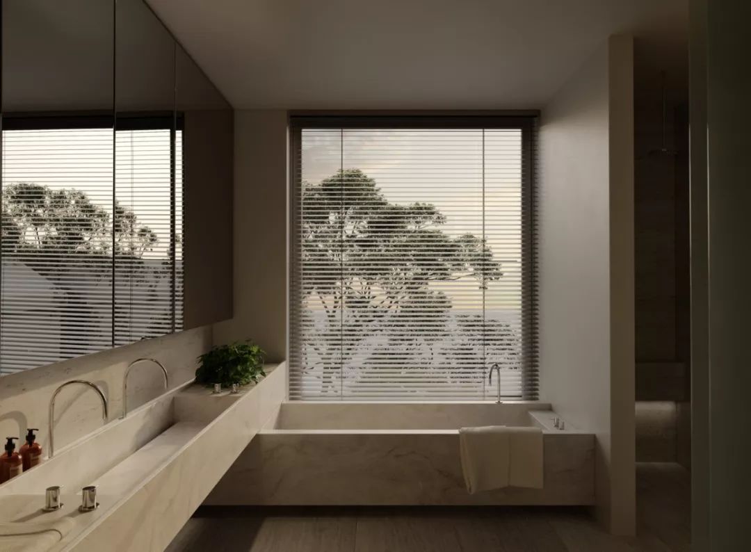 Davidov Architects | 住宅与公共概念的融合-27