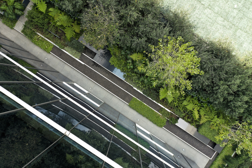 roof garden for a sculpture in Santa Fe, México City | DLC Architects-10