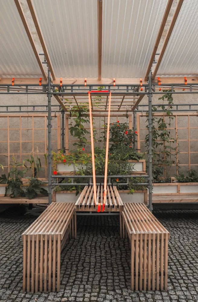 赫尔辛基城市博物馆“Kasvattamo Greenhouse”临时装置-13