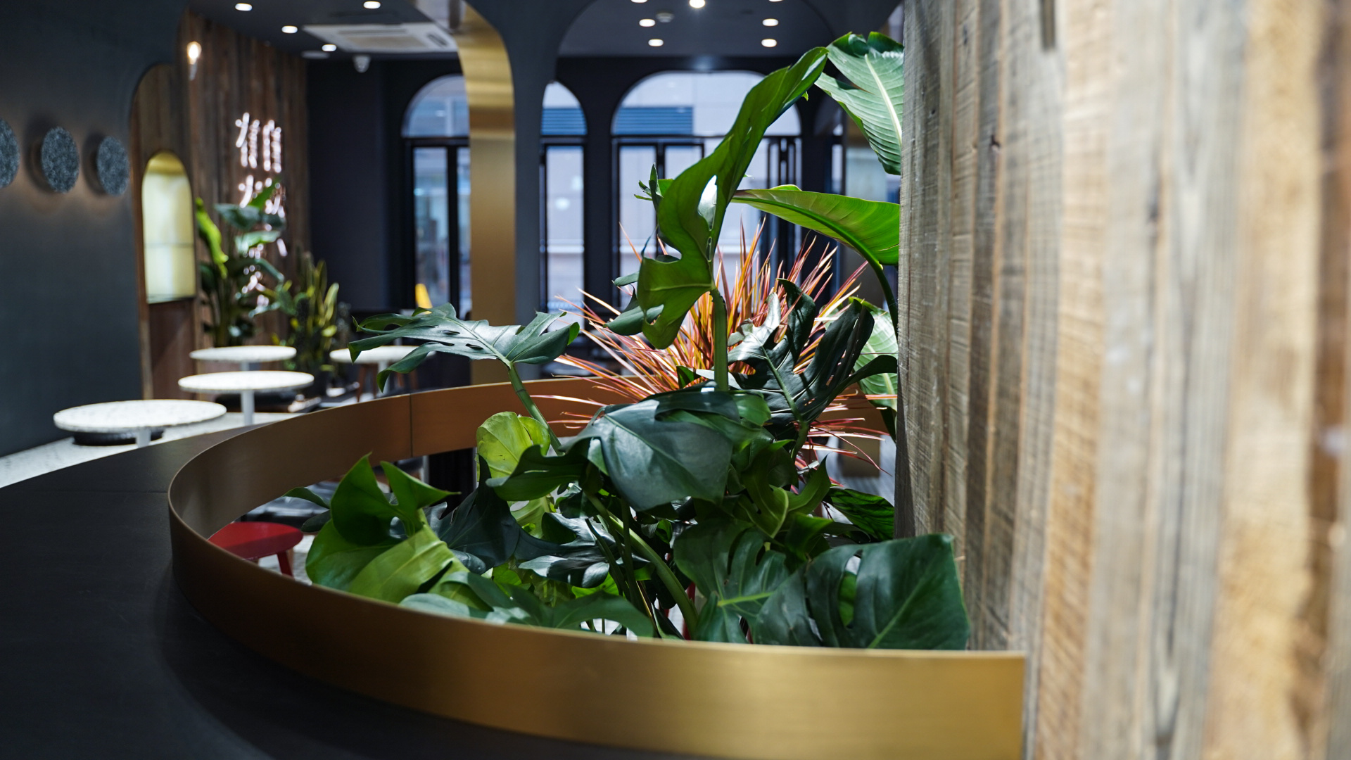 叶子与茶湖州黑金店-43