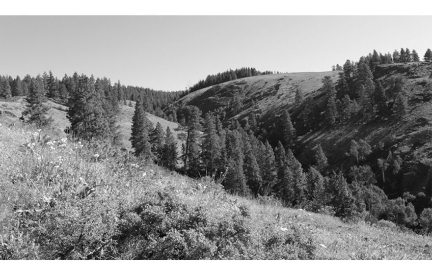 玄武岩峡谷庇护所丨Workshop AD-18