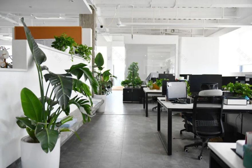 疫情下的致澜景观复工 | 有序复工,保障安全-32