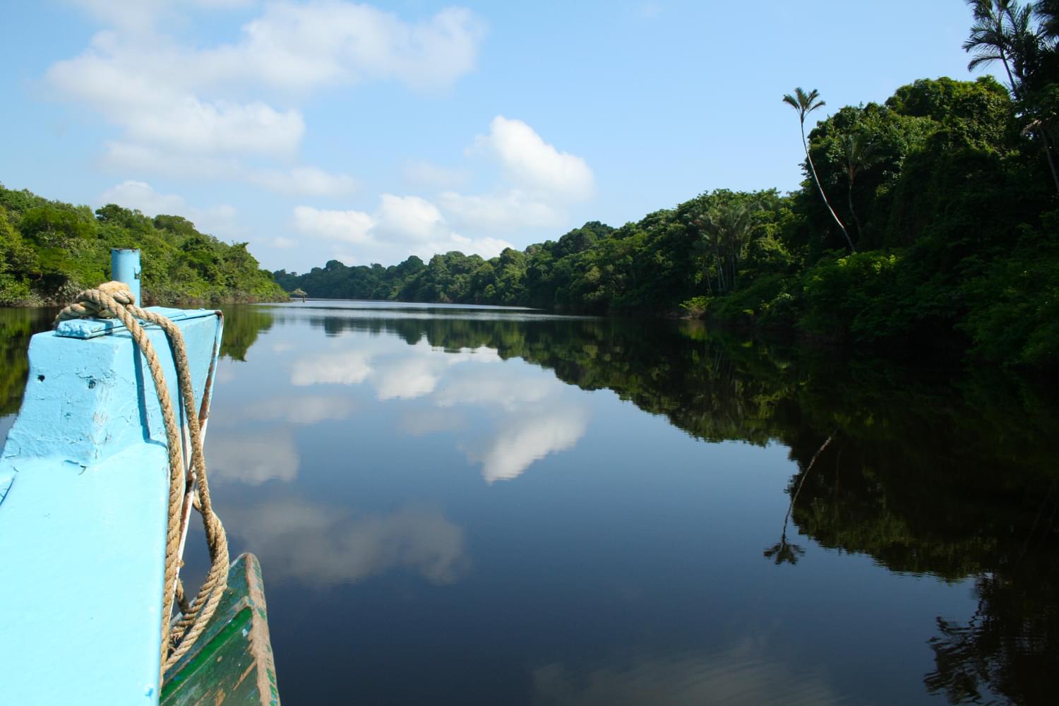 亚马逊鸟瞰酒店-15