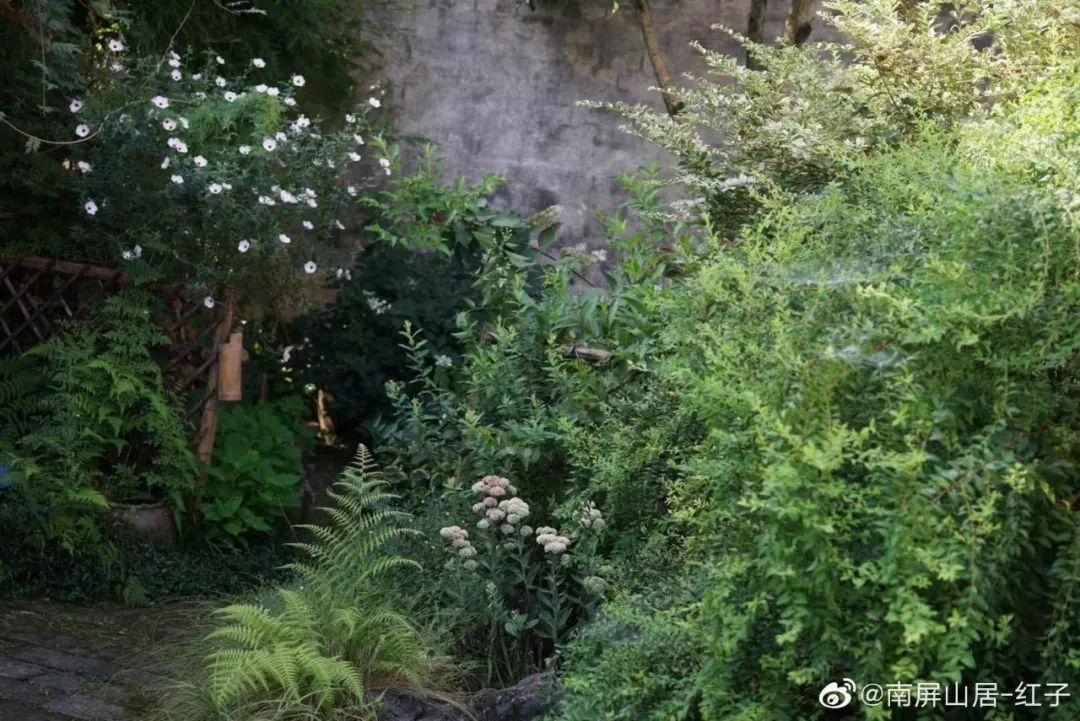 辞去工作，历时7个月，他们过上了有院子，有诗和远方的生活-64