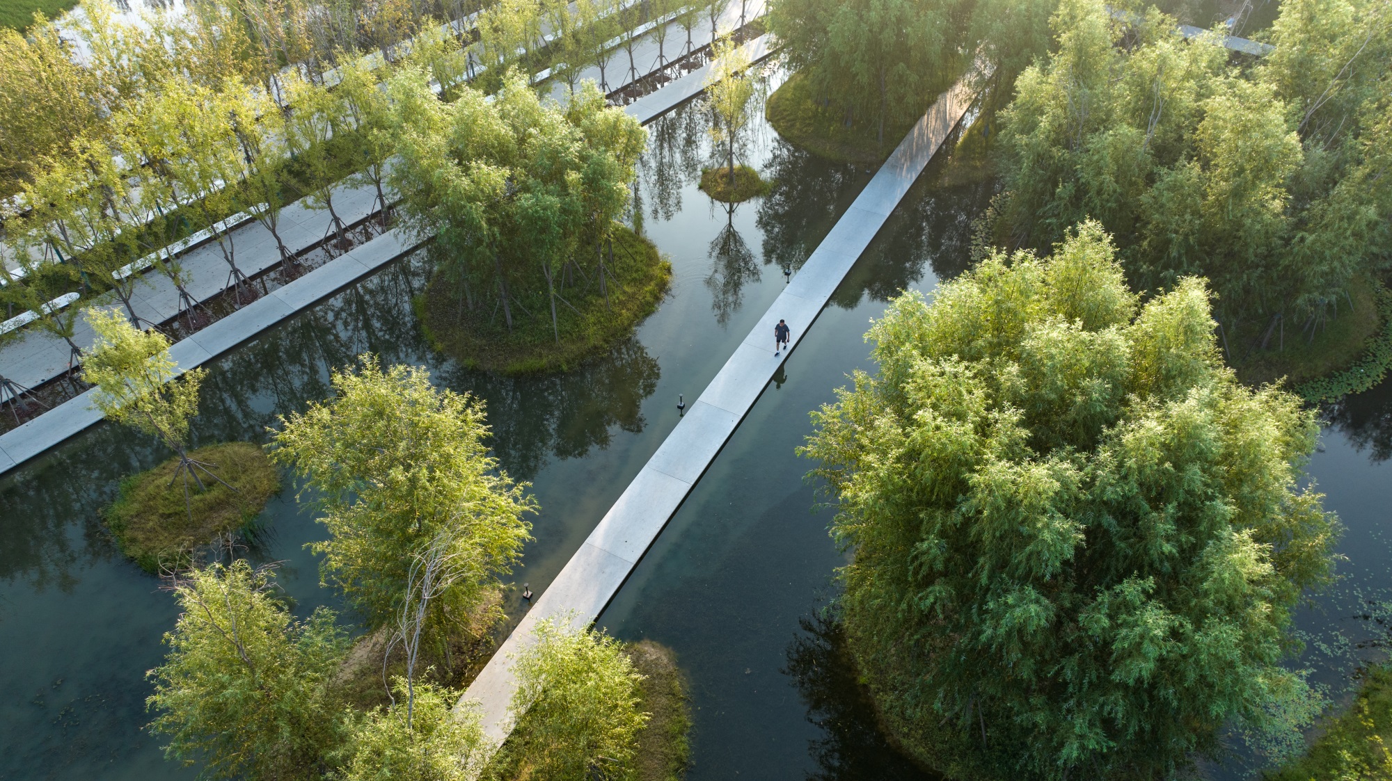 西安雁南公园（二期）丨中国西安丨土人设计（Turenscape）-37