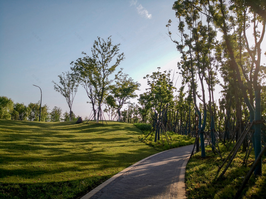 新加坡·南京生态科技岛-51