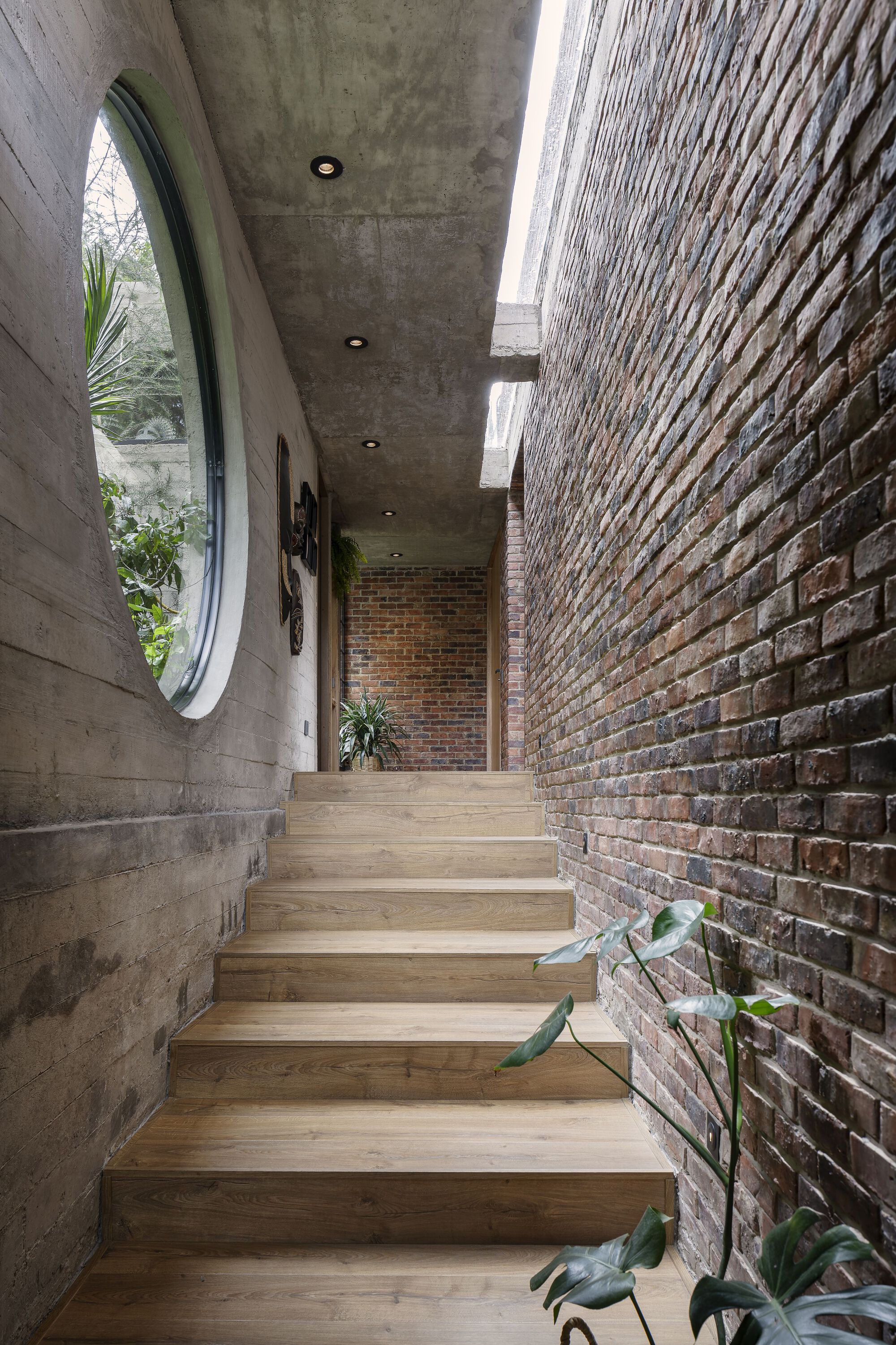 枫木房子丨哥伦比亚丨A.LUGAR-10