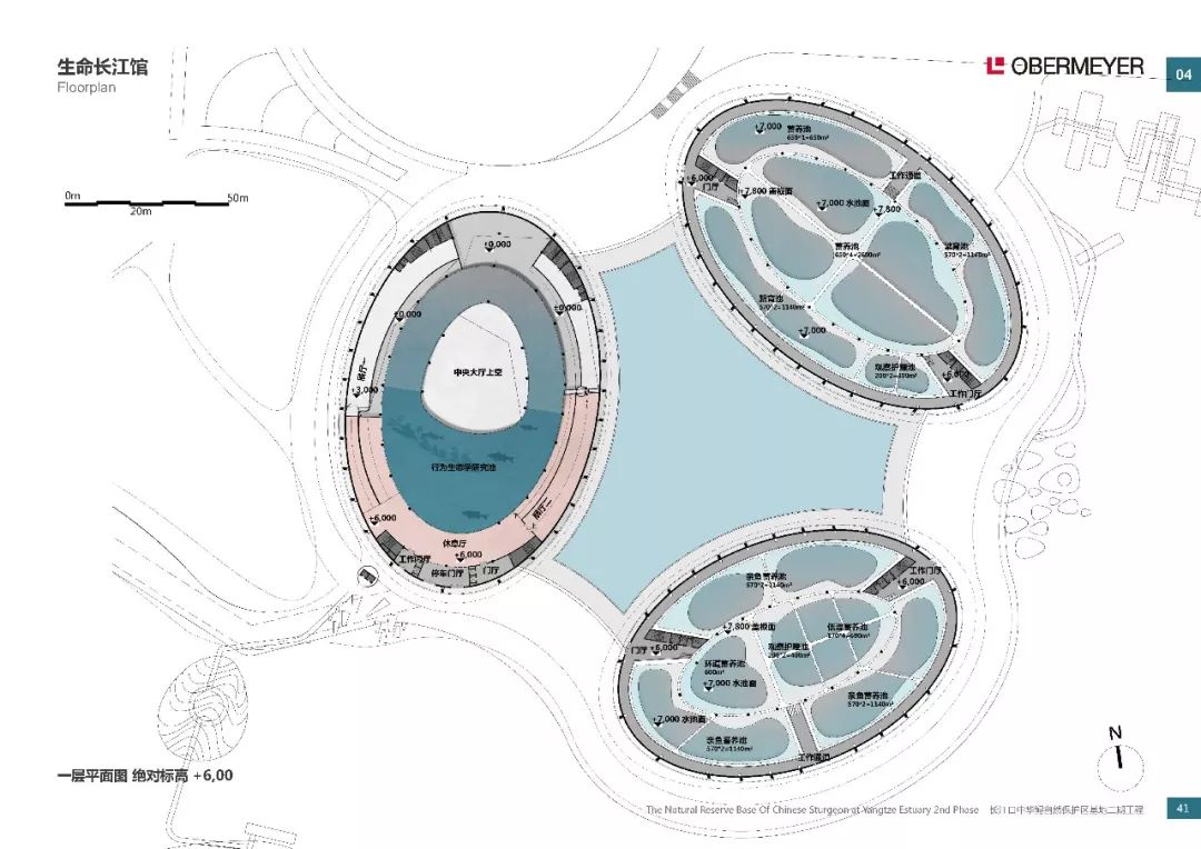 长江口中华鲟自然保护区 欧博迈亚打造世界级生态岛地标-34