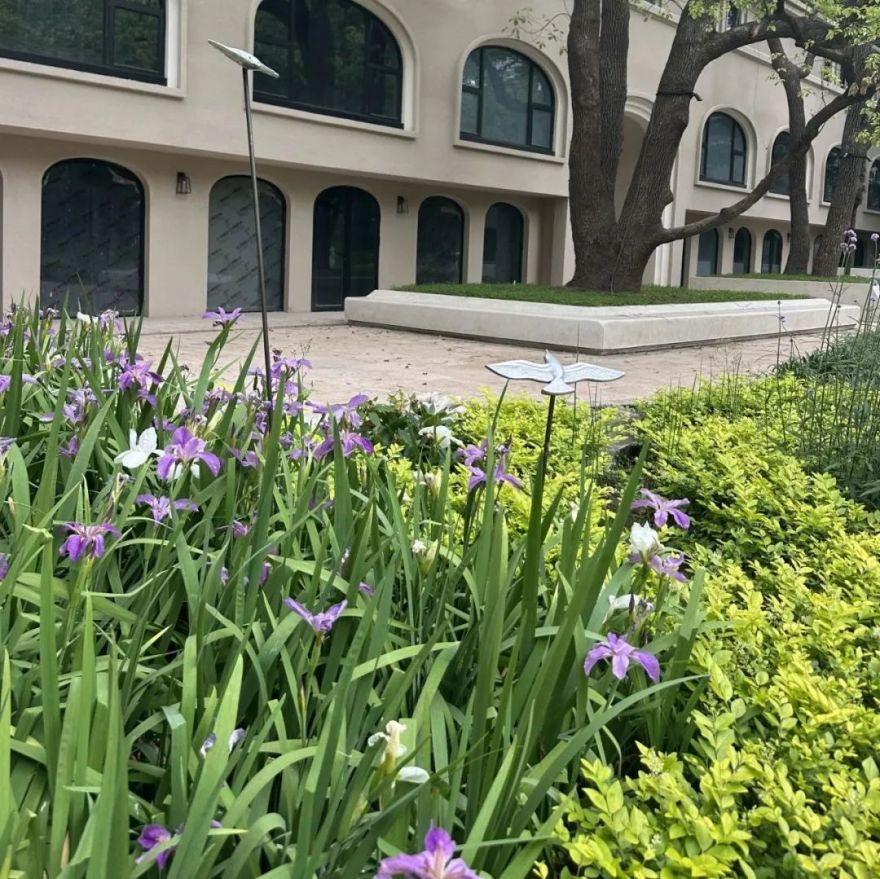 百年名园重生:静安宾馆历史花园保护性改造-173