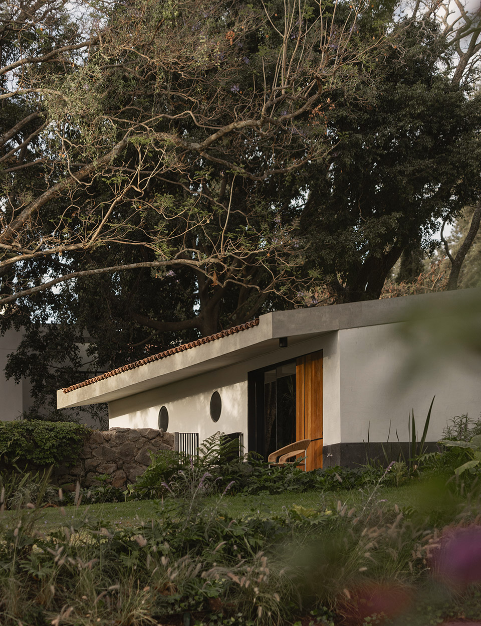 Malvas 59住宅丨墨西哥丨Estudio Radillo Alba-18