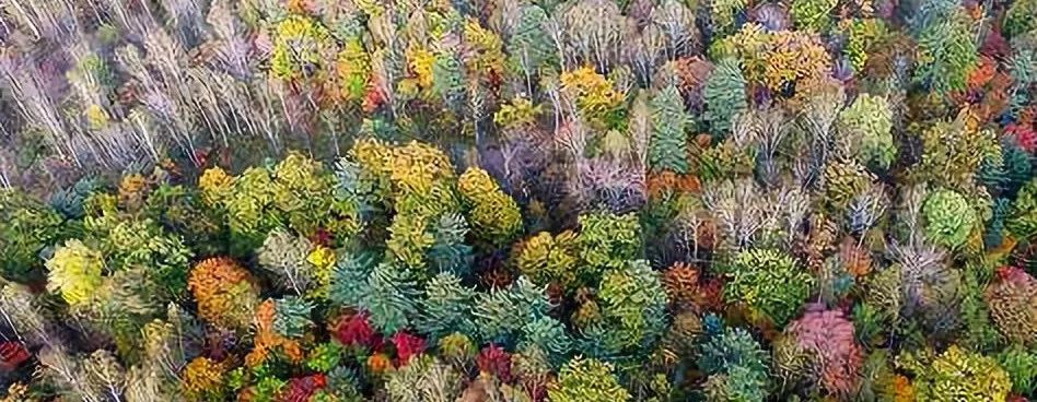 秋意浓叠翠瑬金 | 名设计师打造的五彩斑斓室内空间-0