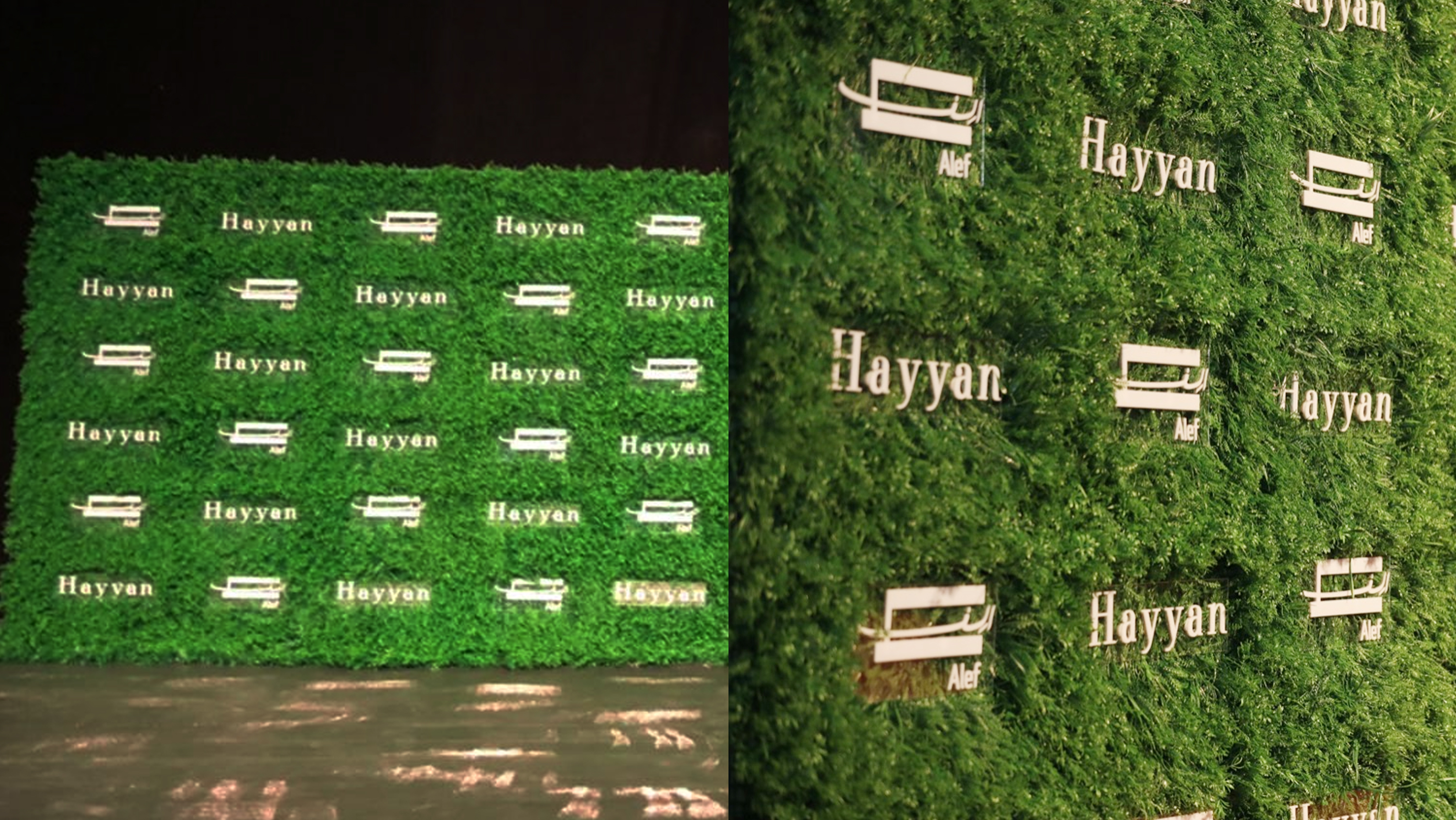 Hayyan Launch event-10