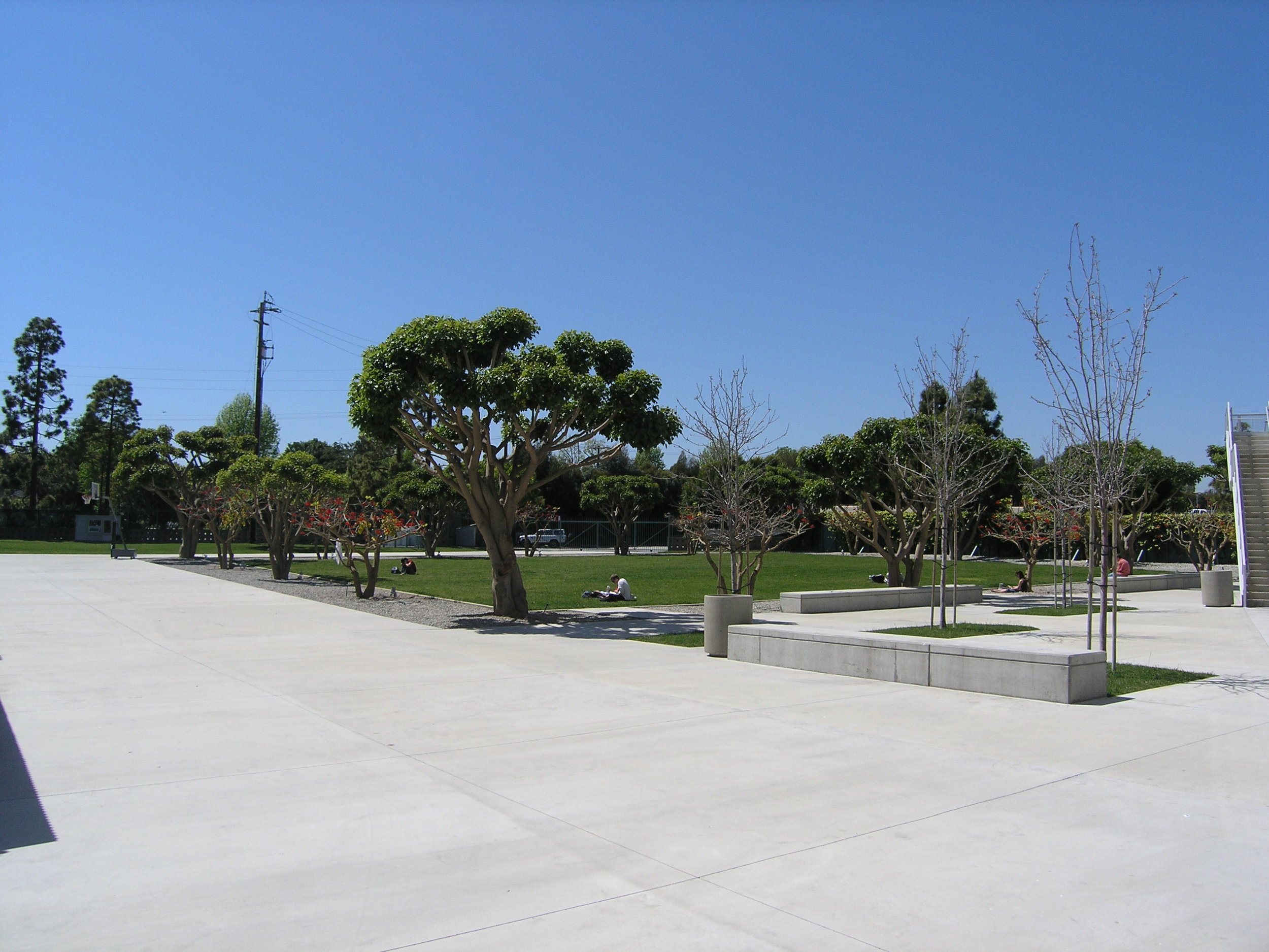 丨美国洛杉矶-17