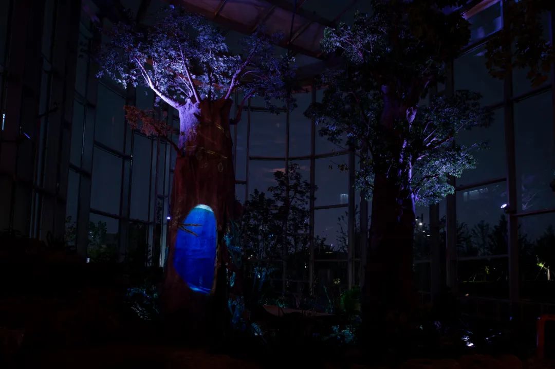 RDI瑞国际照明设计|以光为笔，绘自然奇境——世博文化园温室植物园夜游照明设计解析（上）-10