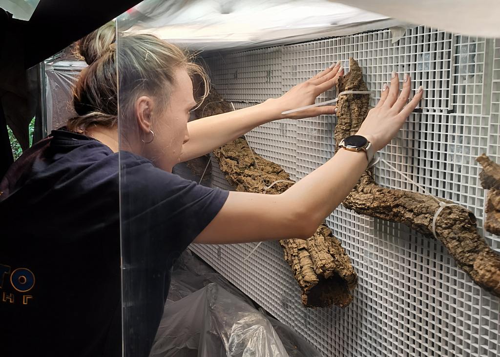“Литораль”（“海岸带”）水族箱水陆箱丨俄罗斯丨Аква Лого Инжиниринг-25