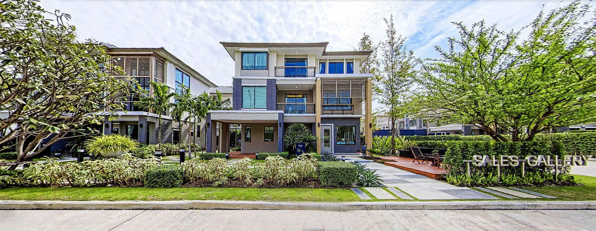 植物精英和帕森-39