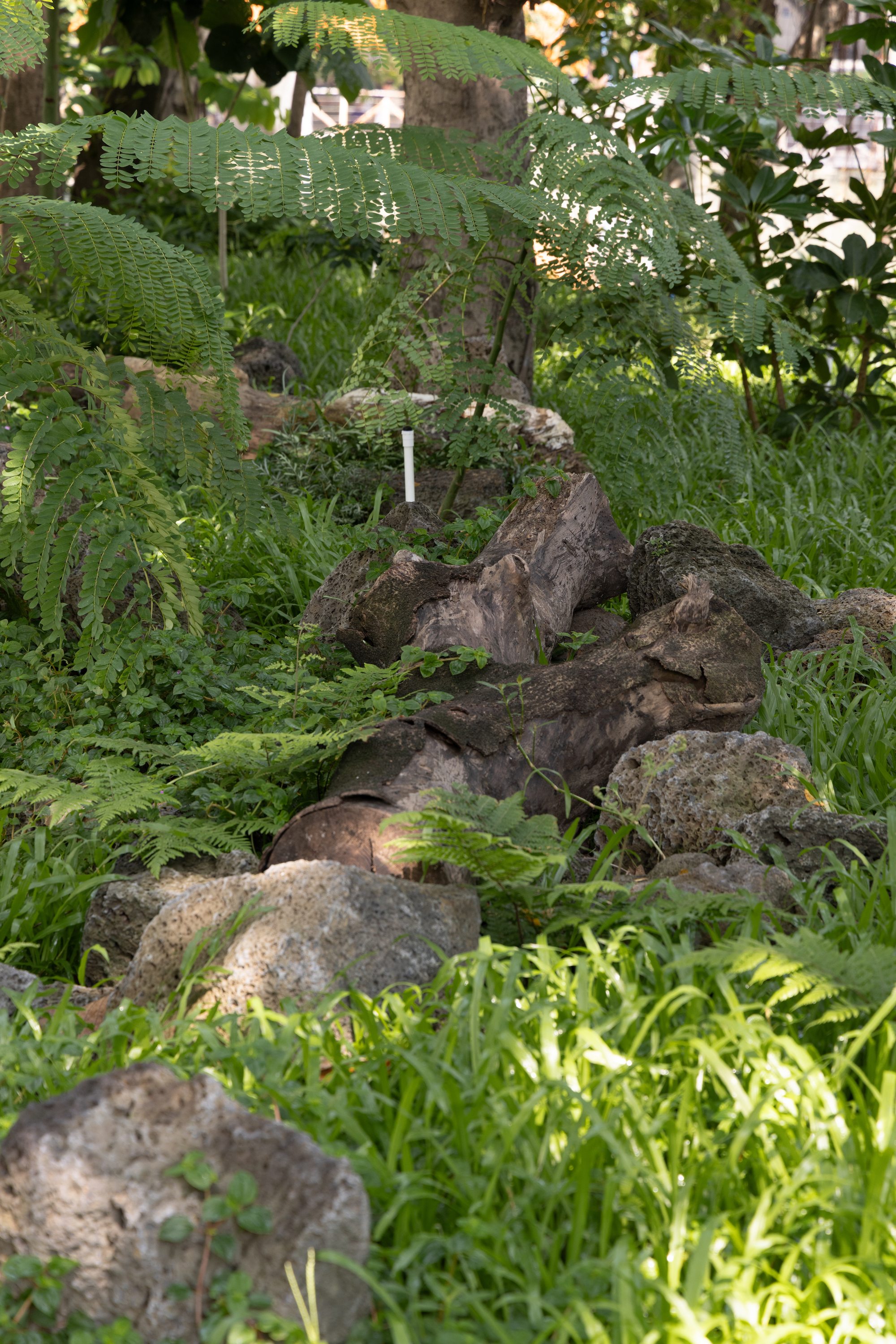 广州亚运公园丨中国运城丨广亩景观-43