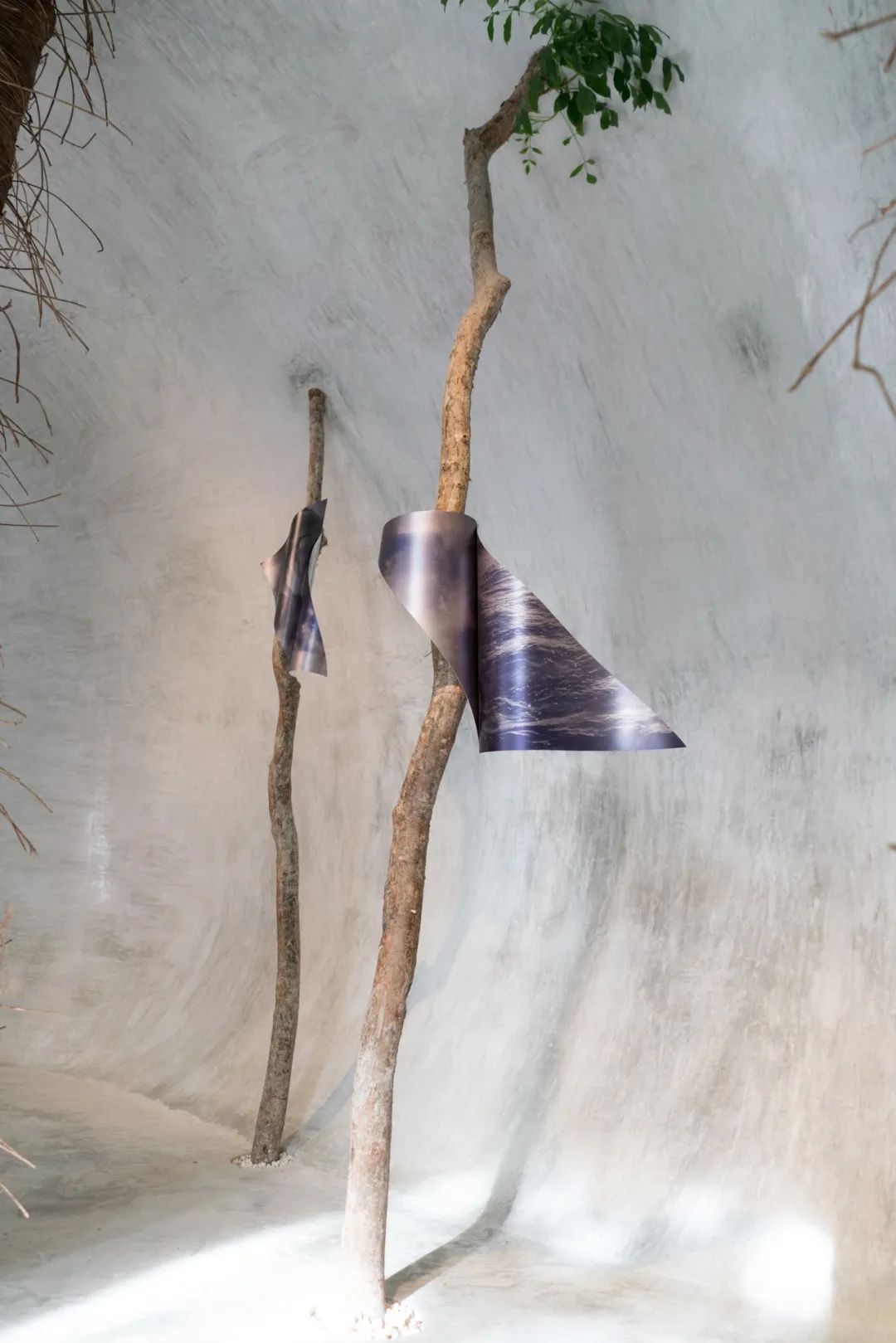 Roth Architecture 大自然与艺术的完美结合-26