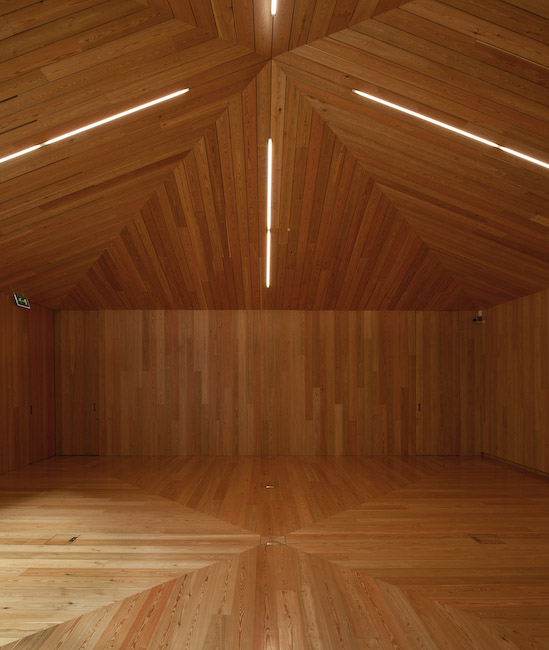 湖畔双砾,葡萄牙 / Aires Mateus-80