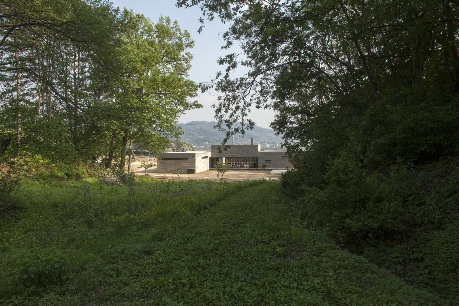 韩国蒲公英农场·自然疗愈空间-59