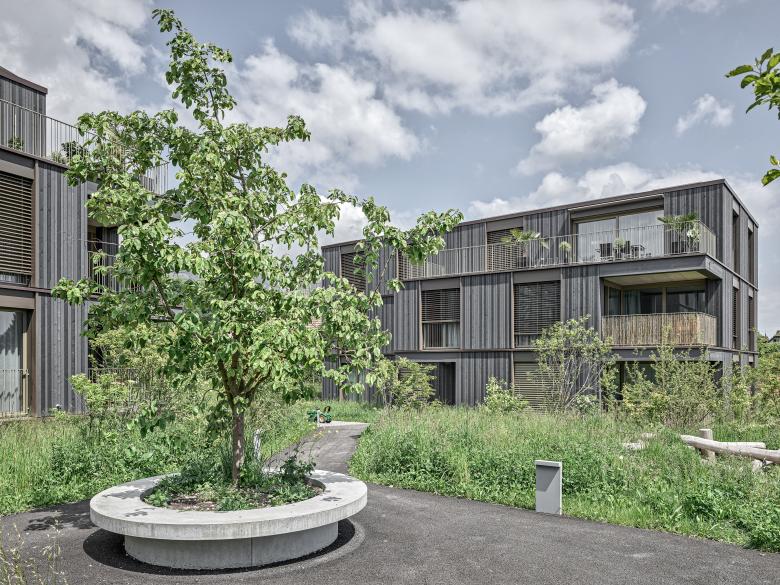 米尔拉克住宅区丨瑞士丨phalt Architekten-10