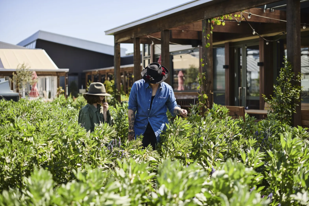泰国Ramathibodi Healing Garden-16