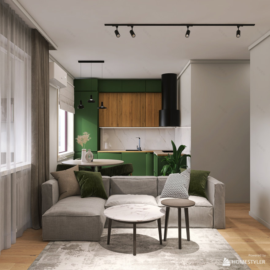 小一居室改造设计-6