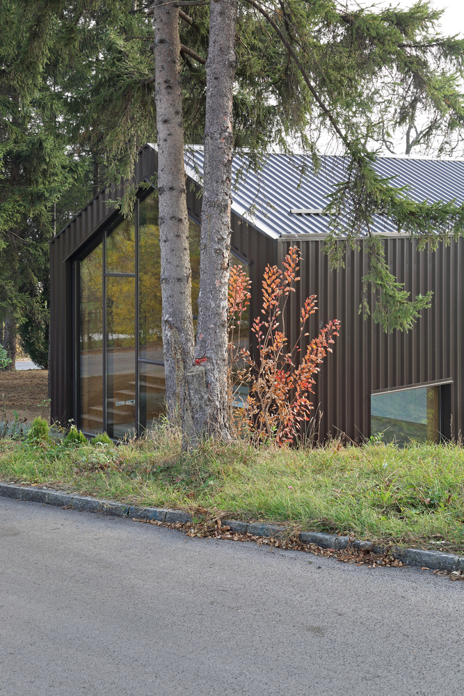 小宅大院，绿意盎然-14